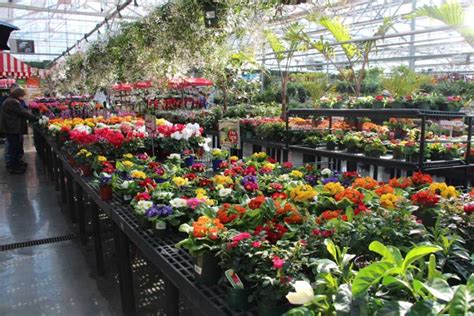 Gertens greenhouse. Things To Know About Gertens greenhouse. 